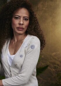 Tawny Cypress